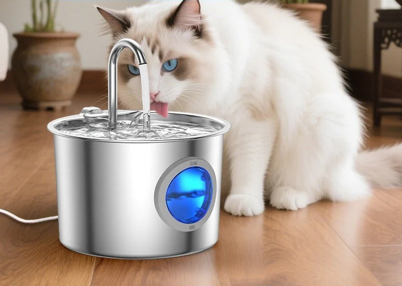 Fontaine à eau filtrante pour animaux, chat buvant à la fontaine